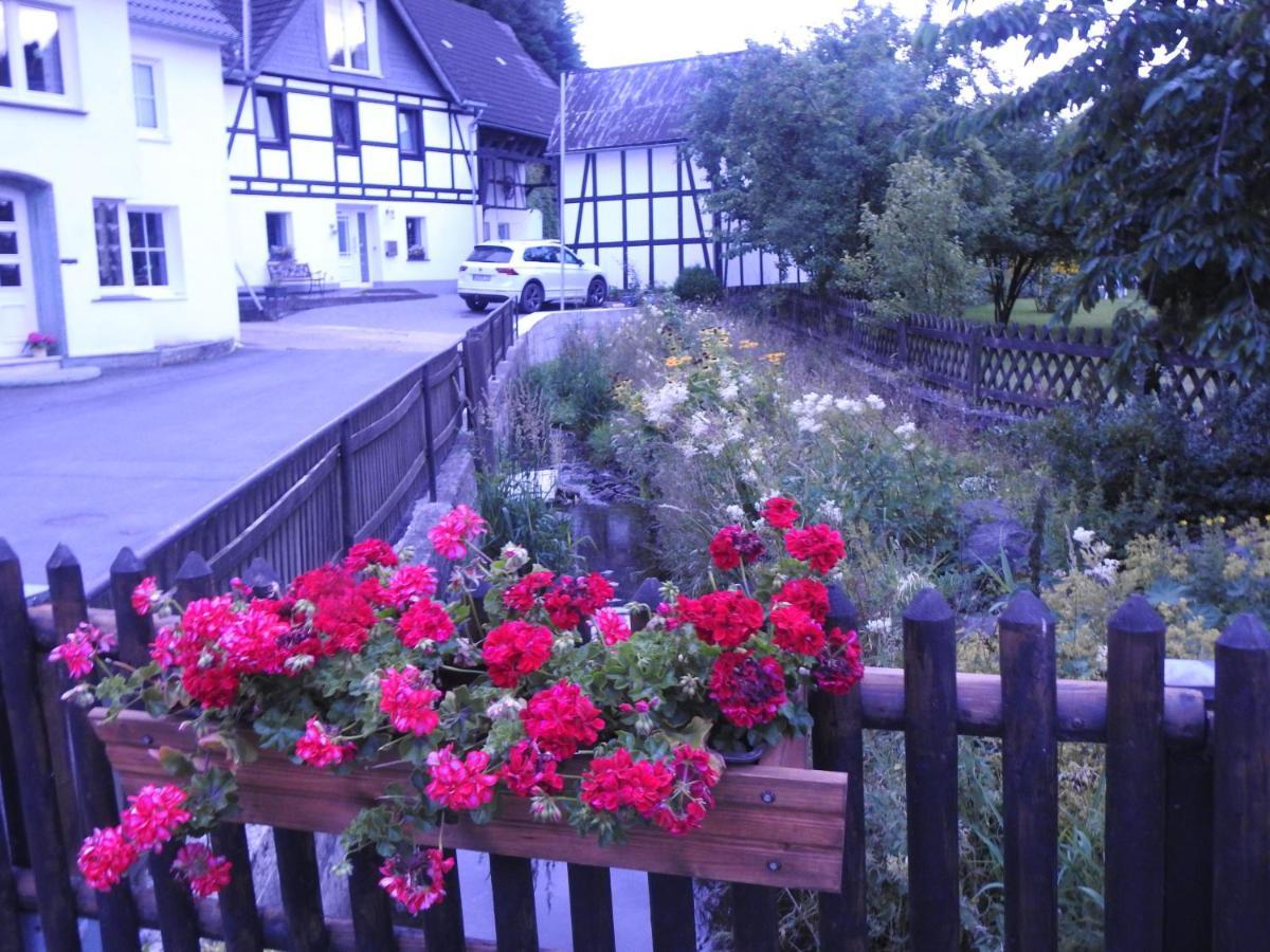 Bergblick Apartment Medebach Exterior photo